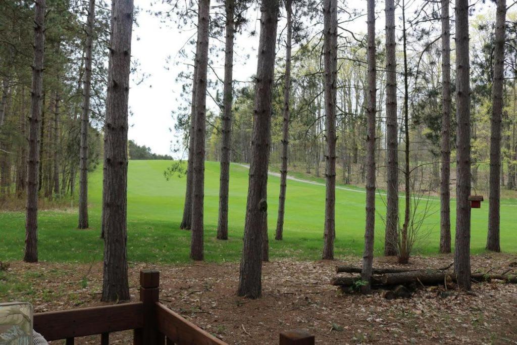 Crystal Mountain Cabin-Shuttle Pass Included! Thompsonville 외부 사진